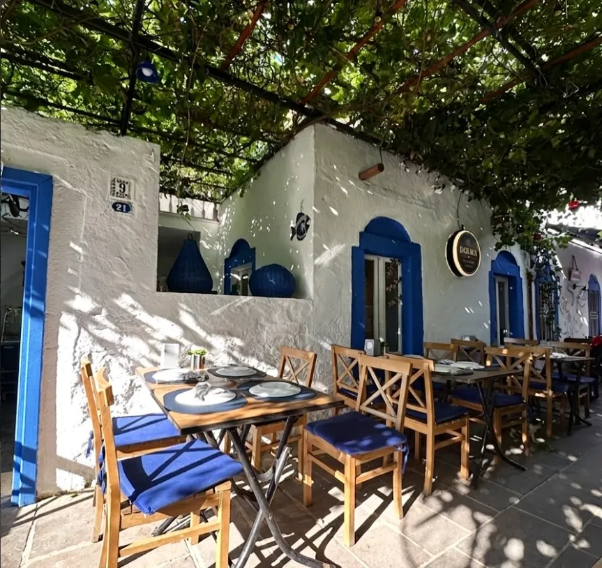Dolma’s vine-shaded terrace in Bodrum, with white walls and blue window frames
